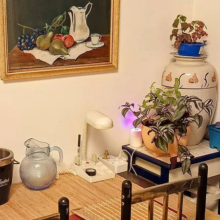 Jupiter Apartman Split